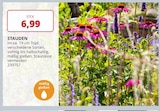 PROFI Wesch Großengottern Prospekt mit  im Angebot für 6,99 €