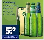 Getränkewelt Coesfeld - Lager, 0,0% o. Elephant Angebot im Prospekt Lager, 0,0% o. Elephant bei Getränkewelt im Coesfeld Prospekt für 5,99 €