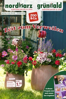 Pflanzen im aktuellen Garten-Center Nordharz GmbH & Co. KG Prospekt (Braunschweig) Pflanzen im Garten-Center Nordharz GmbH & Co. KG Prospekt "Zeit zum Verweilen" mit 16 Seiten (Braunschweig)