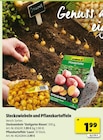 Steckzwiebeln und Pflanzkartoffeln Angebote von Gartenkrone bei Hagebaumarkt Hildesheim für 1,99 €