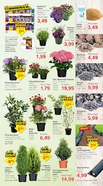 Aktueller Jawoll Prospekt mit Spielsand, "Sonderposten-Märkte", Seite 11