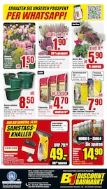 Aktueller B1 Discount Baumarkt Prospekt mit Gartenpflanzen, "BESTPREISE DER WOCHE!", Seite 10