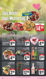 Aktueller EDEKA Prospekt mit Gartenpflanzen, "Wir lieben Lebensmittel!", Seite 16