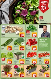 REWE Gartenpflanzen im Prospekt 