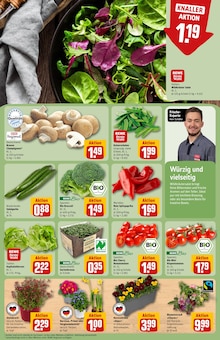 Blumen im aktuellen REWE Prospekt (Augsburg) Blumen im REWE Prospekt "Dein Markt" mit 26 Seiten (Augsburg)