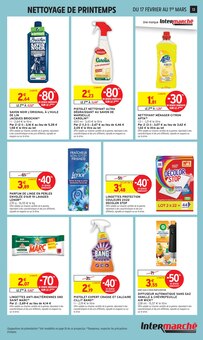 Promotion Sanytol dans le prospectus Intermarché Super, valable du 17/02/2026 au 01/03/2026 Promo Sanytol dans le catalogue Intermarché Super du moment à la page 13