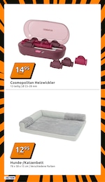 Action Katzenbett im Prospekt 