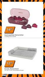 Katzenkorb Angebote im Prospekt "Wochenangebote" von Action Katzenkorb Angebote im Prospekt "Wochenangebote" von Action auf Seite 17
