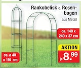 Rankobelisk Angebote bei Zimmermann Bremerhaven für 8,99 €