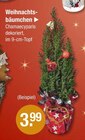 Baum im V-Markt Prospekt Weihnachtsbäumchen im aktuellen V-Markt Prospekt für 3,99 €