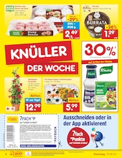 Blumen im Netto Marken-Discount Prospekt in Cuxhaven Aktueller Netto Marken-Discount Prospekt mit Blumen, "Aktuelle Angebote", Seite 2