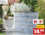 Bepflanztes Herbstarrangement im Angebot bei Netto Marken-Discount in Homburg Bepflanztes Herbstarrangement Angebote bei Netto Marken-Discount Homburg für 14,99 €
