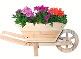 Holz-Pflanzschubkarre 69x24x28 cm Angebote bei Wreesmann Stendal für 14,99 €