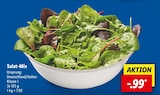 Salat-Mix im Angebot bei Lidl in Hildesheim Salat-Mix Angebote bei Lidl Hildesheim für 0,99 €
