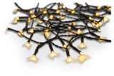 Lichterdraht oder Lichterkette im Netto Marken-Discount Prospekt Lichterdraht oder Lichterkette von im aktuellen Netto Marken-Discount Prospekt für 2,99 €