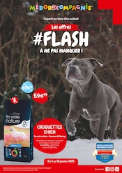 Saumon Angebote im Prospekt "Les offres #FLASH À NE PAS MANQUER !" von Médor et Compagnie auf Seite 1