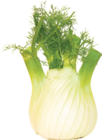 Fenchel von  im aktuellen V-Markt Prospekt für 1,99 €