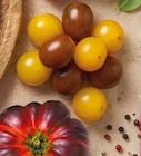 Cherrytomaten Miss Perfect Mix gelb/braun im aktuellen Netto mit dem Scottie Prospekt