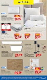 Regal im Lidl Prospekt in Hilden Aktueller Lidl Prospekt mit Regal, "LIDL LOHNT SICH", Seite 31