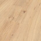 Laminat 8.0 'Midday Oak' im Angebot bei Hornbach in Wolfenbüttel Laminat 8.0 'Midday Oak' Angebote von Skandor bei Hornbach Wolfenbüttel für 25,46 €