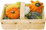 Zierkürbismischung im Angebot bei Kaufland in Lörrach Zierkürbismischung Angebote bei Kaufland Lörrach für 3,99 €