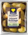 Speisefrühkartoffeln Drillinge im Angebot bei EDEKA in Schwerin Speisefrühkartoffeln Drillinge Angebote von EDEKA bei EDEKA Schwerin für 1,99 €