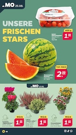Gemüse Angebot im Netto mit dem Scottie Prospekt, gültig von 25.08.2025 bis 30.08.2025 Gemüse Angebot im aktuellen Netto mit dem Scottie Prospekt auf Seite 2