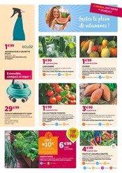Fruits Et Légumes Angebote im Prospekt "Le jardinage sport préféré des français !" von Delbard auf Seite 3