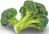 Deutscher Broccoli im Angebot bei Markant Nordwest in Paderborn Deutscher Broccoli Angebote von HofWerte bei Markant Nordwest Paderborn für 1,11 €