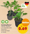 Gemüsepflanze bei Penny-Markt im Prospekt "" für 0,69 €