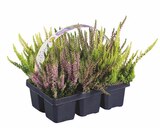 Angebot im Lidl Ludwigsburg Prospekt Lidl Ludwigsburg Prospekt mit im Angebot für 6,99 €