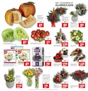 Aktueller Marktkauf Prospekt mit Blumen, "Aktuelle Angebote", Seite 3