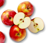 Elstar für 1,79 € bei Kaufland im Angebot Elstar im aktuellen Kaufland Prospekt