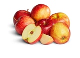rote Äpfel im aktuellen Penny-Markt Prospekt