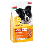 Croquettes pour chiens adultes - CARREFOUR COMPANINO VITALIVE en promo chez Carrefour Tourcoing à 13,65 €