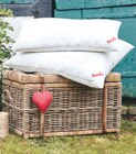 Softy medium Bio Angebot im Möbel Schulenburg Halstenbek Prospekt Möbel Schulenburg Halstenbek Prospekt mit Softy medium Bio im Angebot für 29,99 €