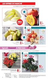 Promos Fleurs dans le catalogue "Halloween À PRIX BAS" de U Express Fleurs en promo dans le catalogue U Express à la page 8