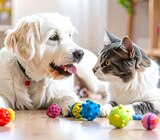 -20 % sur une sélection de jouets Anka pour chien ou chat - Anka dans le catalogue Delbard