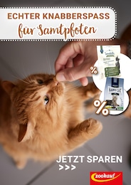 Schmutzfangmatte Angebot im aktuellen Zookauf Prospekt auf Seite 1