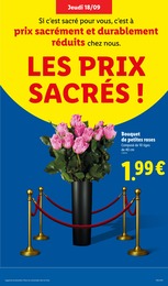 Offre Plante Verte dans le catalogue Lidl du moment à la page 29