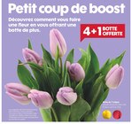 Botte de 7 tulipes en promo chez Truffaut Saint-Maur-des-Fossés à 4,49 €