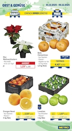 Limetten Angebot im aktuellen METRO Prospekt auf Seite 7