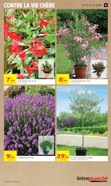 Jardinage en promo dans le catalogue Intermarché Hyper à la page 13