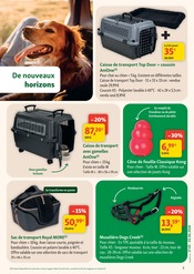 Valise en promo dans le catalogue Maxi Zoo à la page 3