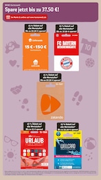 Fußball Angebot & Preis im aktuellen REWE Prospekt Fußball Angebot im aktuellen REWE Prospekt auf Seite 23