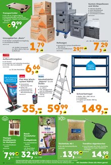 Teppichboden im Globus-Baumarkt Prospekt "Immer eine Idee besser" mit 16 Seiten (Braunschweig)