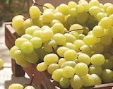 Promo Raisin blanc à 2,49 € dans le catalogue Supeco à Embrun