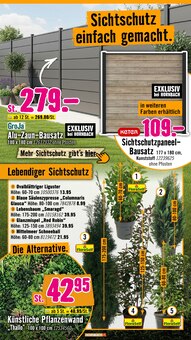 Hortensie im Hornbach Prospekt "Ran ans PROJEKT. Es ist schon Pflanzzeit." mit 36 Seiten (Hamburg)