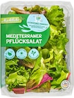 Aktuelles Mediterraner Pflücksalat Angebot bei Penny in Dortmund ab 1,11 €