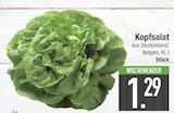 Kopfsalat  im aktuellen EDEKA Prospekt für 1,29 €
